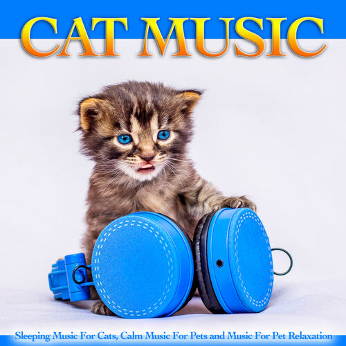 calming music for cats and dogs