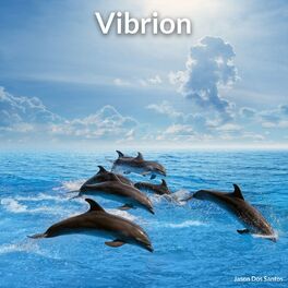Album cover of Vibrion