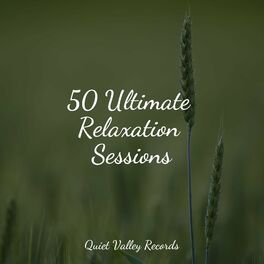 Album cover of 50 Ultimate Relaxation Sessions