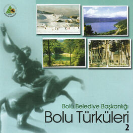 Album cover of Bolu Türküleri, No. 2