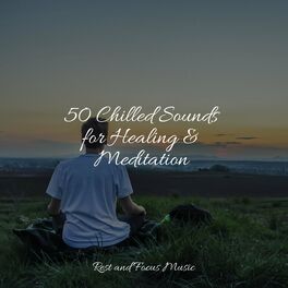 Album cover of 50 Chilled Sounds for Healing & Meditation