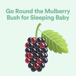 Album cover of Go Round the Mulberry Bush for Sleeping Baby