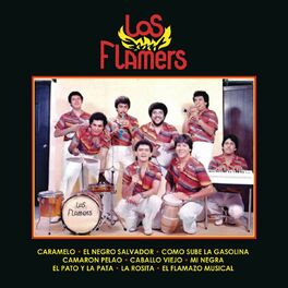 Album cover of Los Flamers