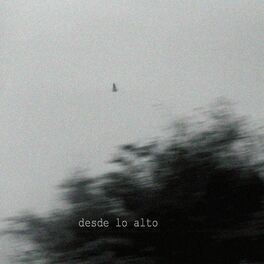 Album cover of Desde Lo Alto