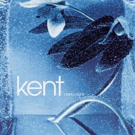 Album cover of Verkligen