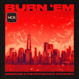 Album cover of Burn 'Em