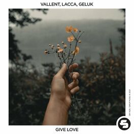 Album cover of Give Love