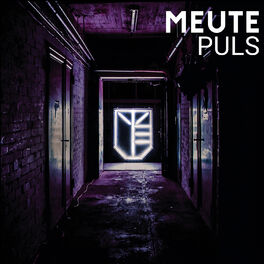 Album cover of Puls