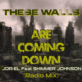 Album cover of These Walls Are Coming Down (Radio Mix) [feat. Shimmer Johnson]