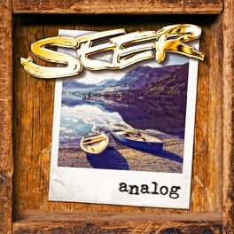 Album cover of Analog