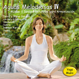 Album cover of Aguas Melodiosas IV