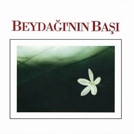 Album cover of Beydağının Başı