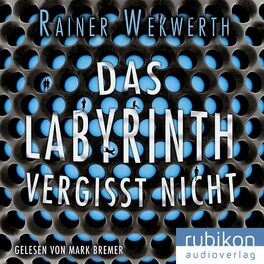 Album cover of Das Labyrinth vergisst nicht