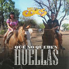 Album cover of Que no queden huellas