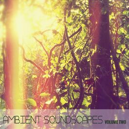 Album cover of Ambient SoundScapes, Vol. 2