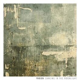 Album cover of Dancing in the Moonlight