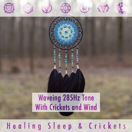 Album cover of Waveing 285hz Tone with Crickets and Wind