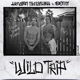 Album cover of Wild Trip