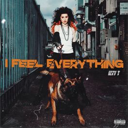 Album cover of I Feel Everything