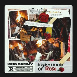 Album cover of NightShade Or Rose
