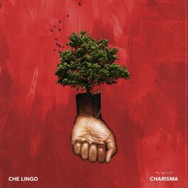 Album cover of Charisma