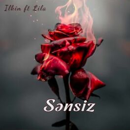 Album cover of Sənsiz