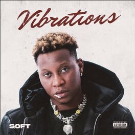 Album cover of Vibrations