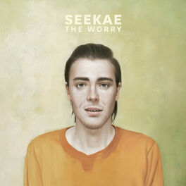 Album cover of The Worry