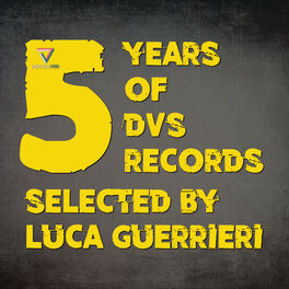 Album cover of 5 Years of DVS Records (Selected by Luca Guerrieri)