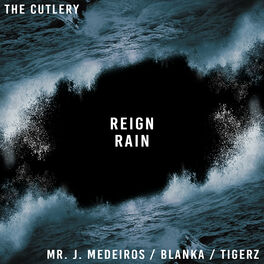 Album cover of Reign Rain