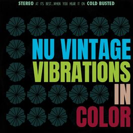 Album cover of Vibrations In Color
