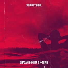Album cover of Strokey Doke