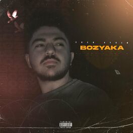 Album cover of Bozyaka