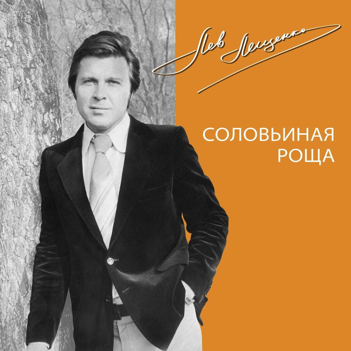 Лев Лещенко - Соловьиная роща: lyrics and songs | Deezer