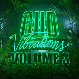 Album cover of Gud Vibrations: Volume 3