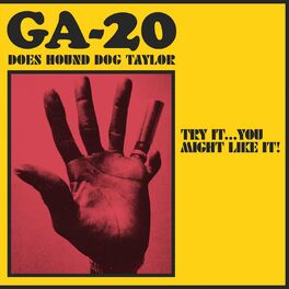 Album cover of Try It...You Might Like It: GA-20 Does Hound Dog Taylor
