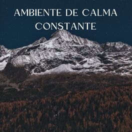 Album cover of Ambiente De Calma Constante
