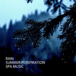 Album cover of Rain: Summer Perspiration Spa Music