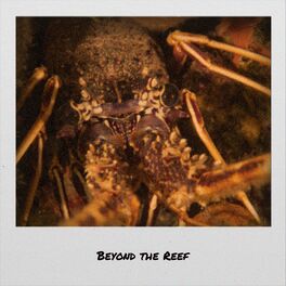 Album cover of Beyond the Reef