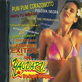 Album cover of Sus Grandes Exitos de Los Yaguaru de Angel Venegas