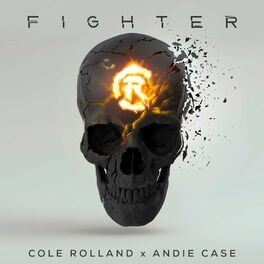 Album cover of Fighter