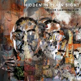 Album cover of Hidden In Plain Sight
