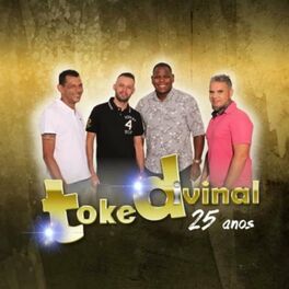 Album cover of Toke Divinal 25 Anos