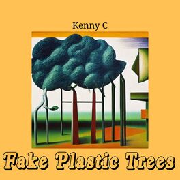 Album cover of Fake Plastic Trees