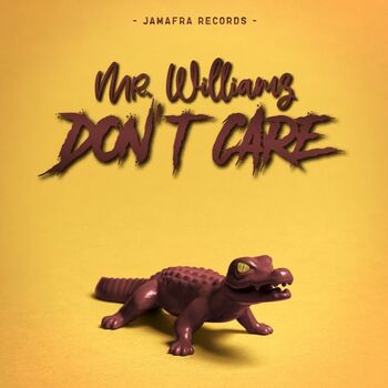 Don't Care cover