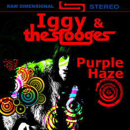 Album cover of Purple Haze