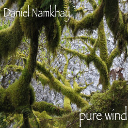 Album cover of Pure Wind