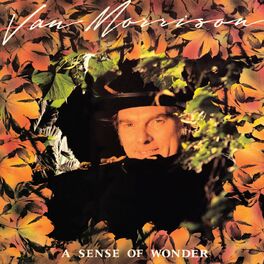 Album cover of A Sense of Wonder