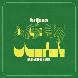 Album cover of Ocean (Sam Gendel Remix)
