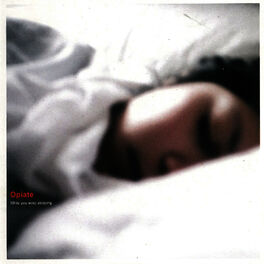 Album cover of While You Were Sleeping